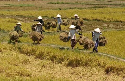 Hotspot Matrix – Kết thúc hành trình 3 ngày rực rỡ tại SECC 2025_Khóa học kỹ năng mềm