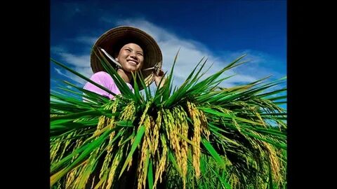 Video ngắn – Giải pháp truyền thông thông minh cho doanh nghiệp nhỏ_ứng dụng chỉnh sửa video miễn phí