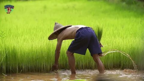 Video ngắn – Giải pháp truyền thông thông minh cho doanh nghiệp nhỏ_Video công ty gia công