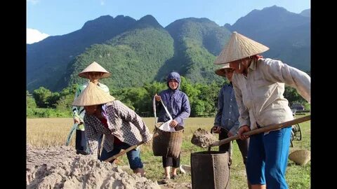 Cách Khởi Nghiệp Kiếm Tiền Bán Thời Gian Dành Cho Người Mới_Xu hướng tiếp thị kỹ thuật số 2025