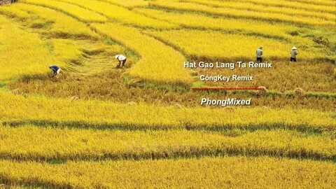 Hotspot Matrix – Kết thúc hành trình 3 ngày rực rỡ tại SECC 2025_video đánh giá sản phẩm