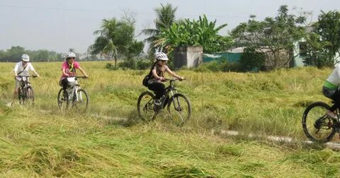 Làm Video Ngắn – Vừa Sáng Tạo, Vừa Kiếm Tiền Với Công Cụ Hữu Ích_chiến lược hiệu quả tiếp thị video