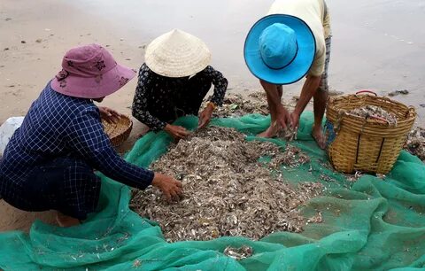 Sự Bùng Nổ Của Video Ngắn và Trí Tuệ Nhân Tạo: Vai Trò Thiết Yếu Của Đào Tạo Kỹ Năng Sáng Tạo Nội Dung_Sự kiện Ma trận điểm nóng