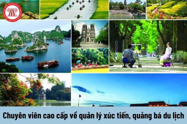 Freelancer Và Cơ Hội Kiếm Tiền Từ Nền Tảng Hotspot Matrix_Video kênh ưu tiên tối ưu