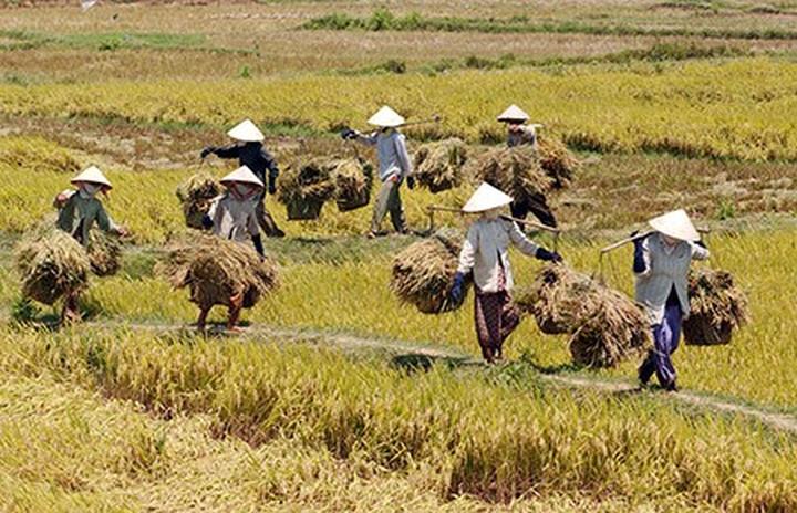 Hotspot Matrix và Nghiên Cứu: Người Phụ Nữ Không Ngủ 40 Năm