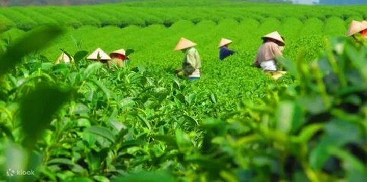 Làm Video Ngắn – Vừa Sáng Tạo, Vừa Kiếm Tiền Với Công Cụ Hữu Ích