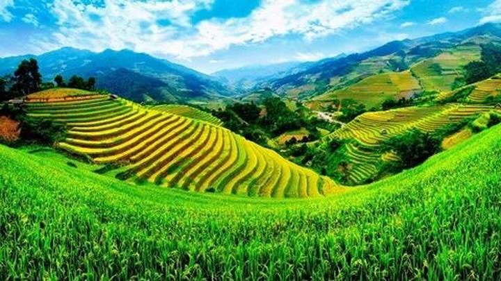 Chính sách đại lý của Hotspot Matrix: Cơ hội hợp tác bền vững trong ngành video ngắn